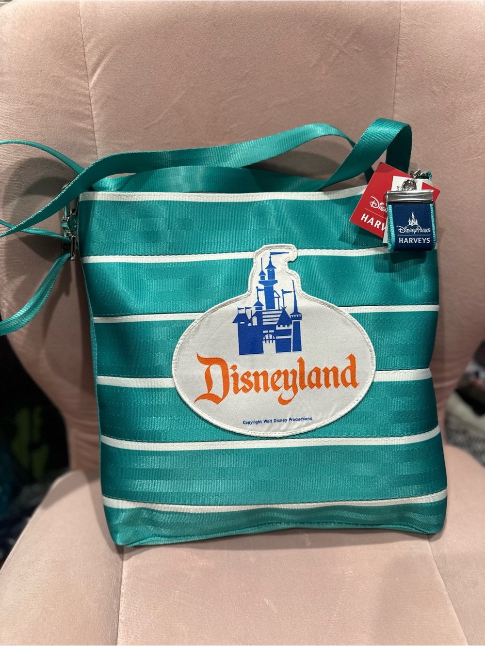 Harveys Crossbody Bag - Disney Land Popcorn